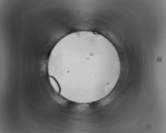 X0000101700576200808071202