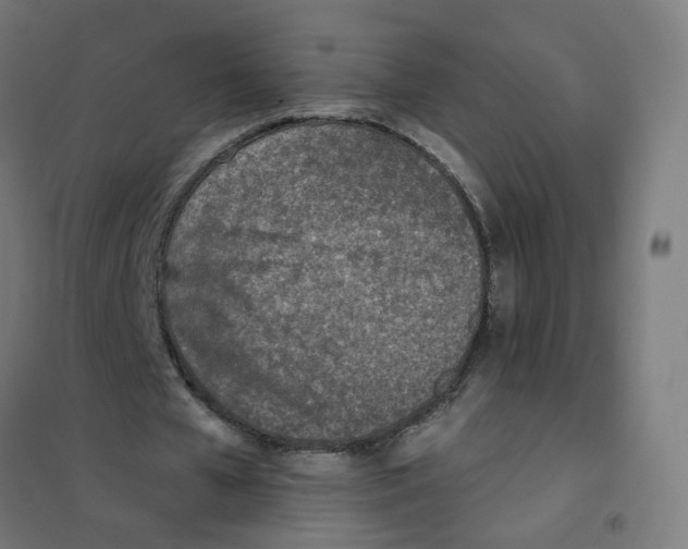 X0000101700577200808071201