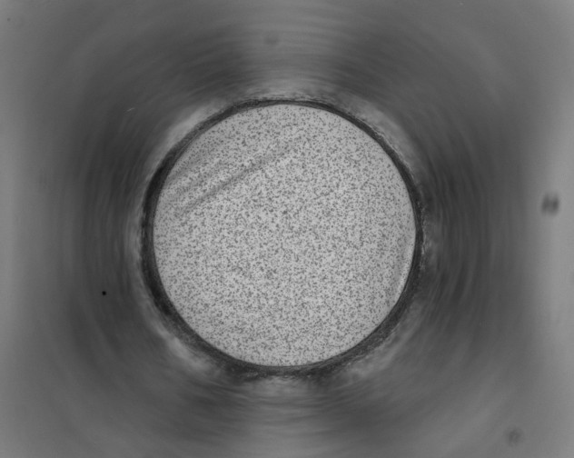 X0000101700578200808071201