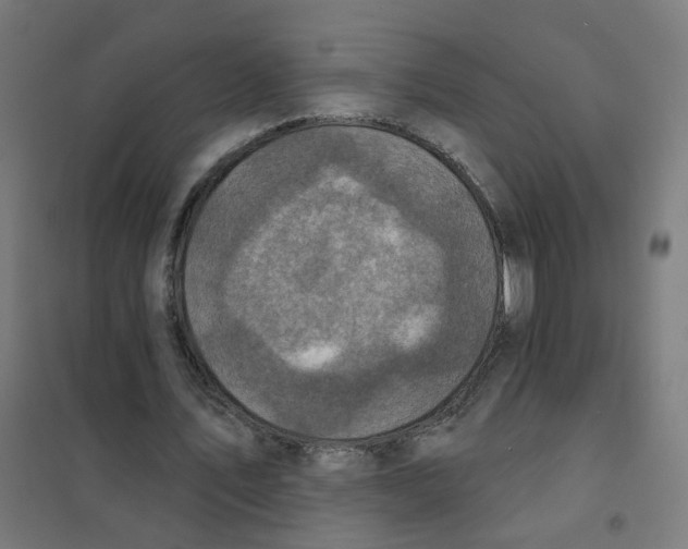 X0000101700579200808071201