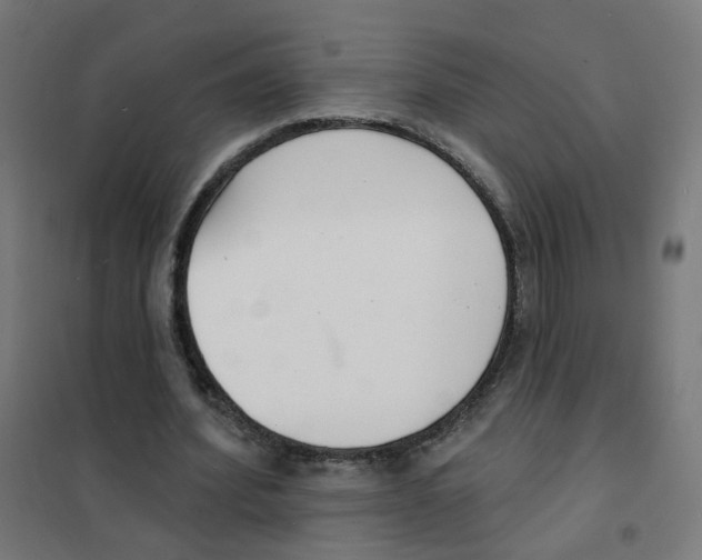 X0000101700580200808071201