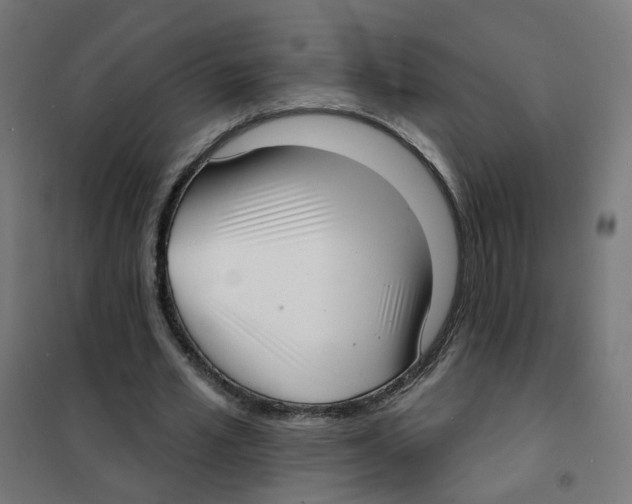 X0000101700581200808071201