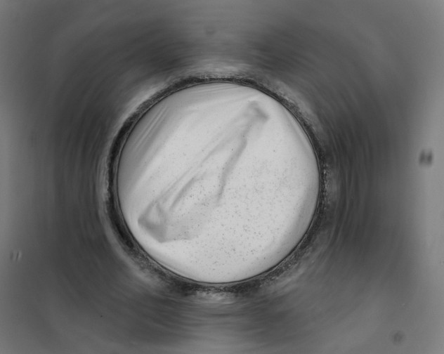 X0000101700582200808071201