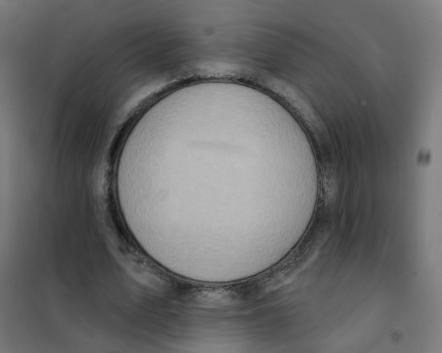 X0000101700583200808071201