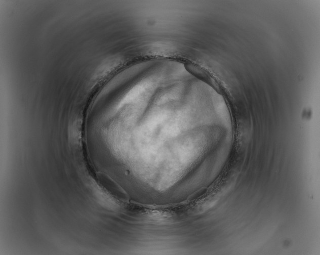 X0000101700585200808071201
