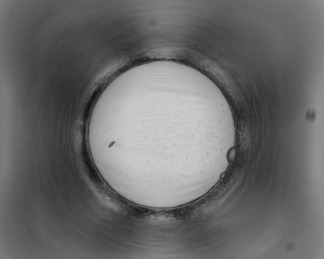 X0000101700586200808071201