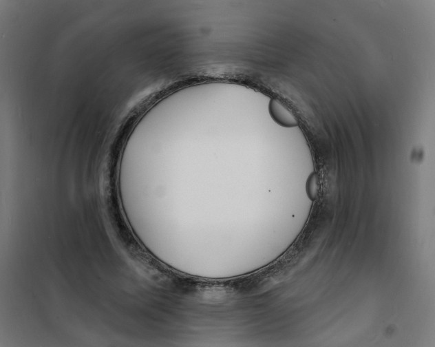 X0000101700587200808071201