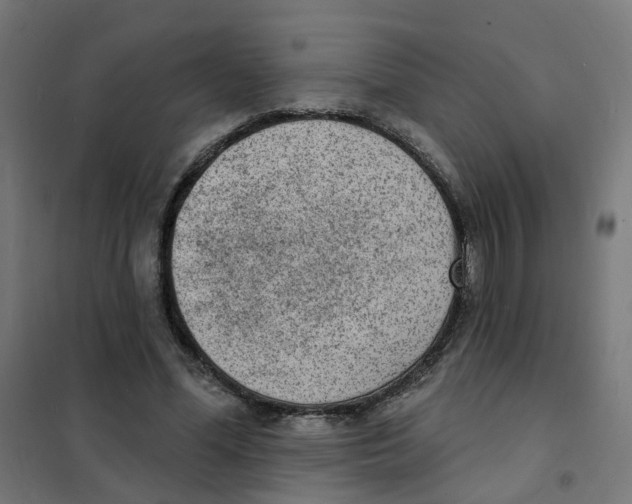 X0000101700588200808071201