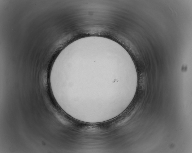 X0000101700589200808071201