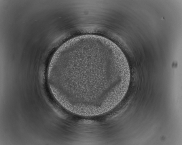 X0000101700590200808071201