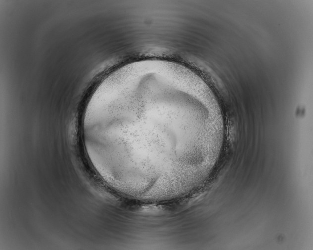 X0000101700591200808071201