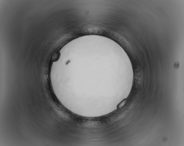 X0000101700593200808071201