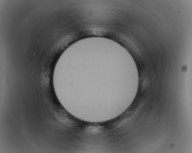 X0000101700595200808071201
