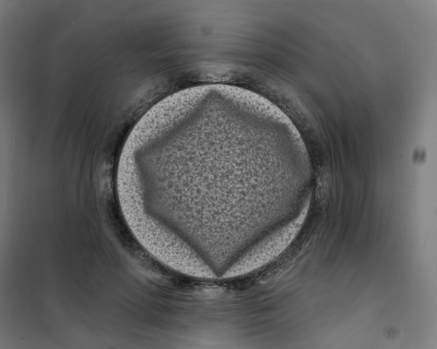 X0000101700598200808071201