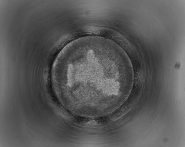X0000101700600200808071201