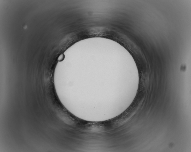 X0000101700601200808071200
