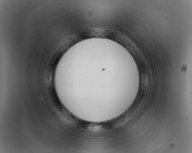 X0000101700602200808071200