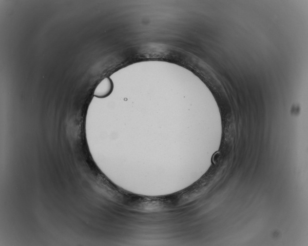 X0000101700604200808071200