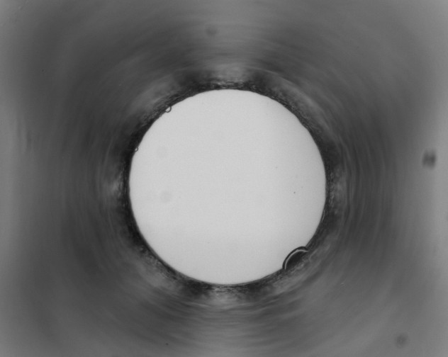 X0000101700608200808071200