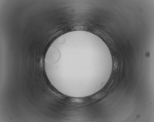 X0000101700610200808071200