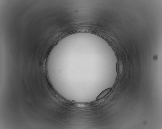 X0000101700611200808071200