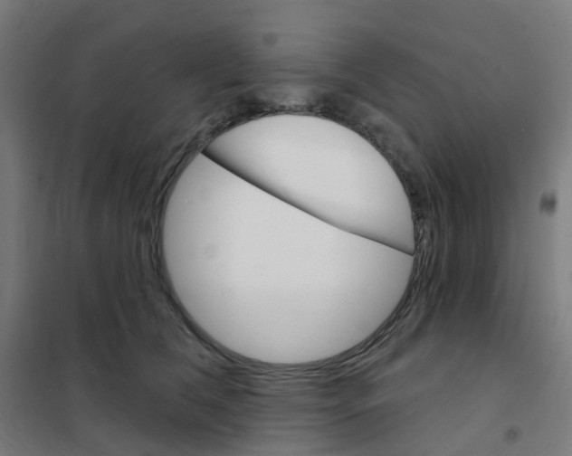 X0000101700612200808071200