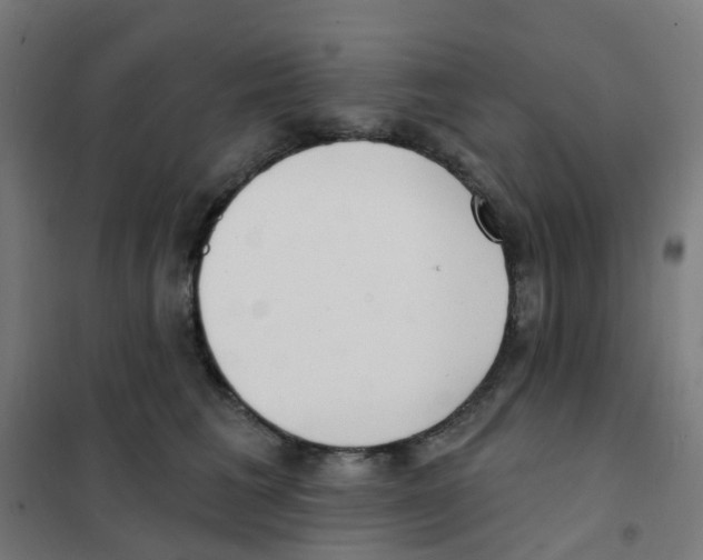 X0000101700613200808071200
