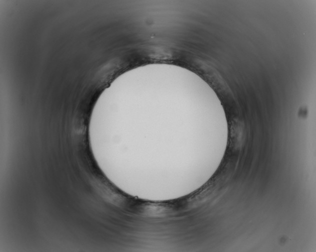 X0000101700614200808071200