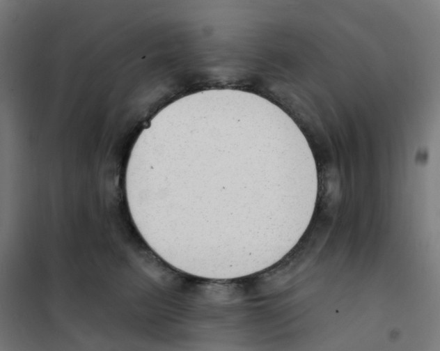 X0000101700615200808071200