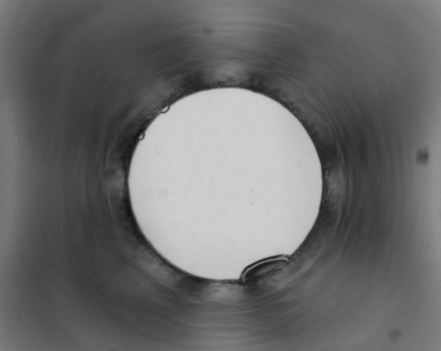 X0000101700617200808071200