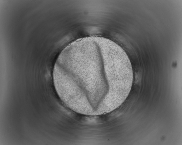 X0000101700618200808071200