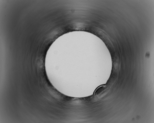 X0000101700620200808071200