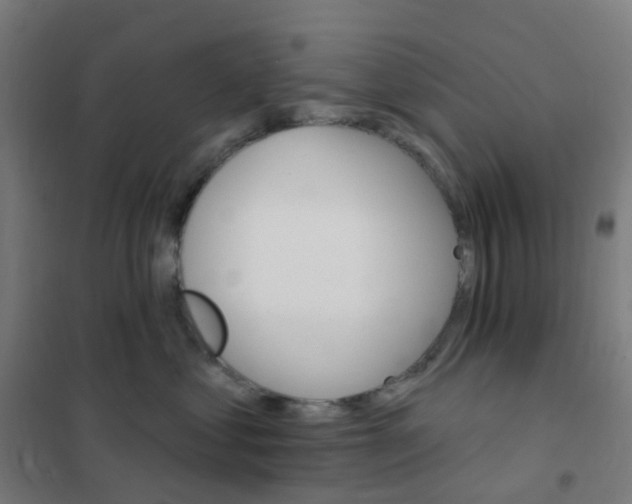 X0000101700621200808071200