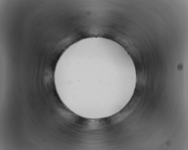X0000101700623200808071200