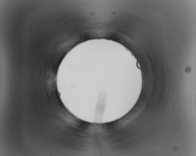 X0000101700624200808071200