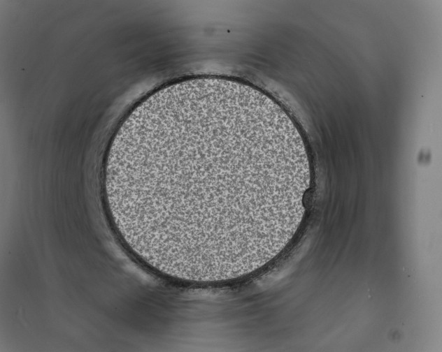 X0000101700625200808071159