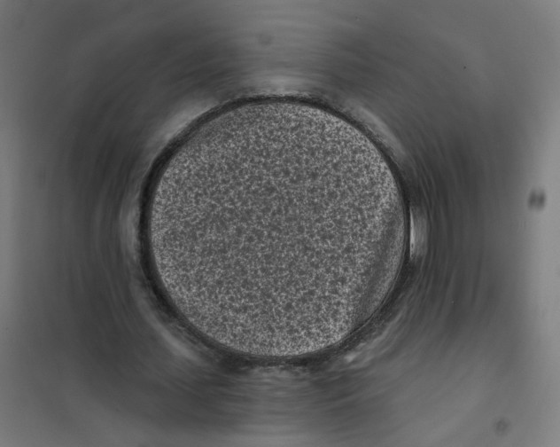 X0000101700627200808071159