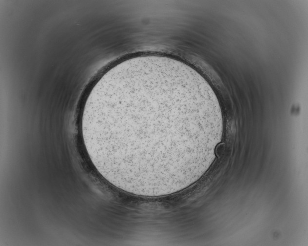 X0000101700628200808071159