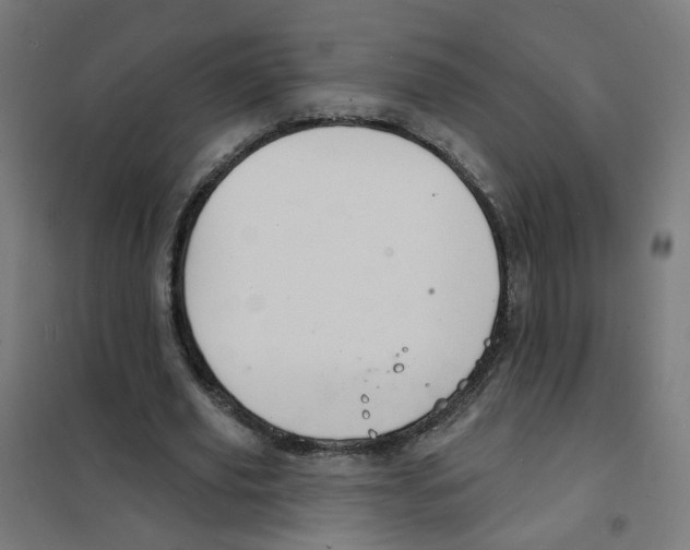 X0000101700629200808071159