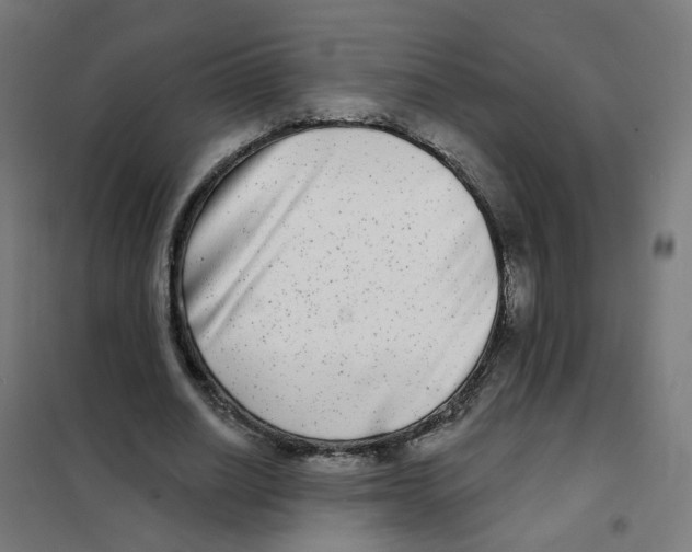 X0000101700630200808071159