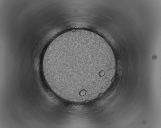 X0000101700631200808071159