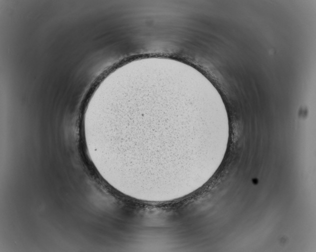 X0000101700632200808071159