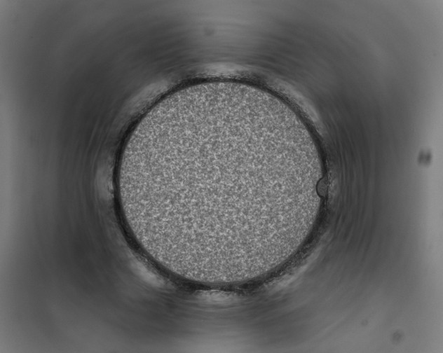 X0000101700633200808071159