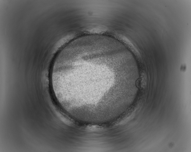 X0000101700634200808071159