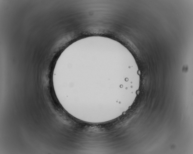 X0000101700635200808071200