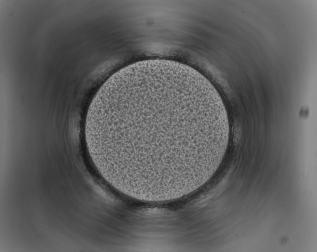 X0000101700637200808071200