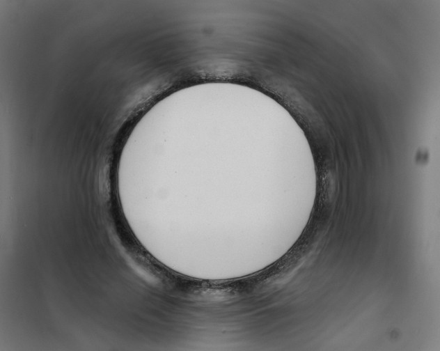 X0000101700638200808071200