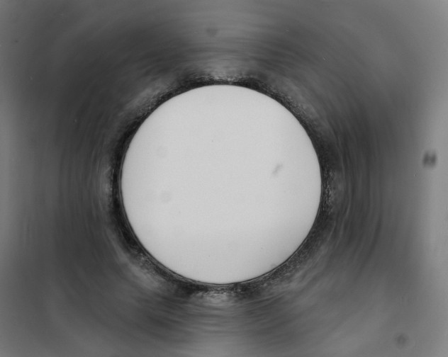 X0000101700639200808071200