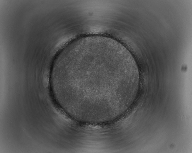 X0000101700640200808071200