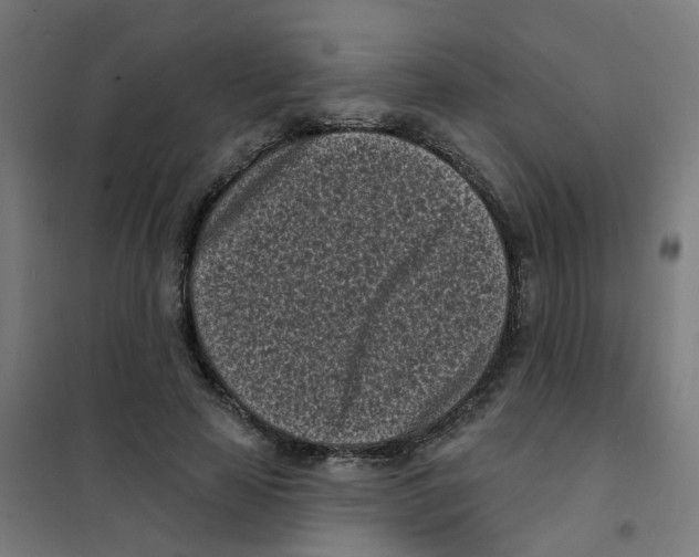 X0000101700641200808071200